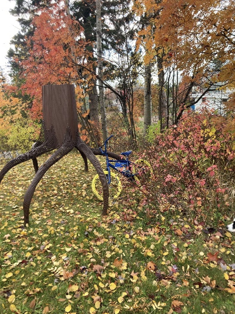 Fall in Grand Marais